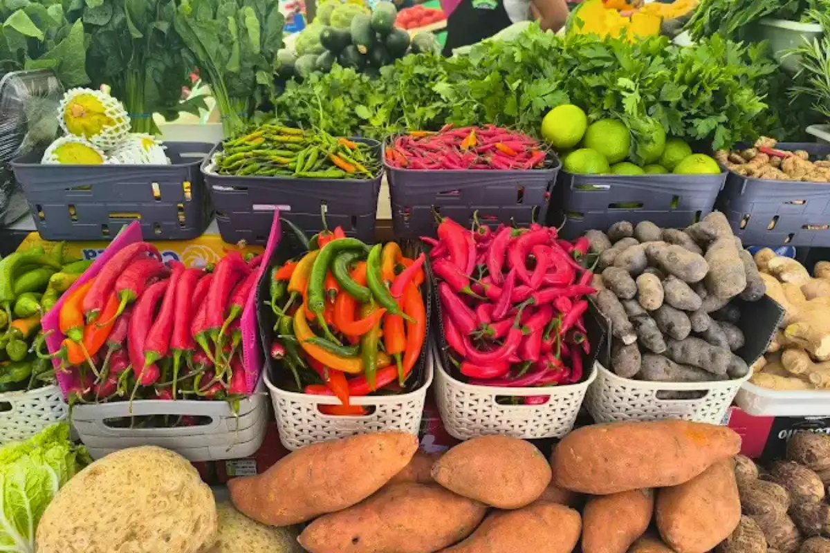 Mercado de Abastos Algeciras