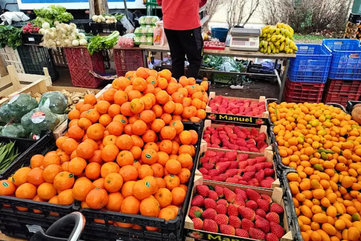 Mercadillo del Zaidín Granada – Saturday Flea Market on Baden Powell Street