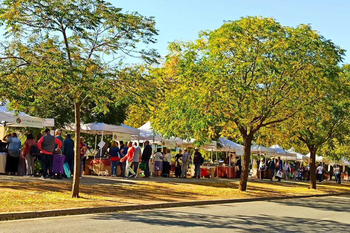 Ecomercado de Granada
